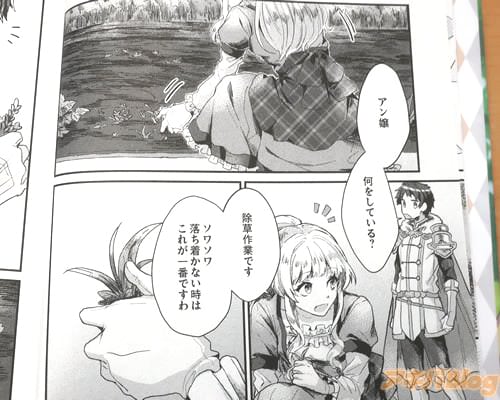 「除草作業です。落ち着かない時はこれが一番ですわ」