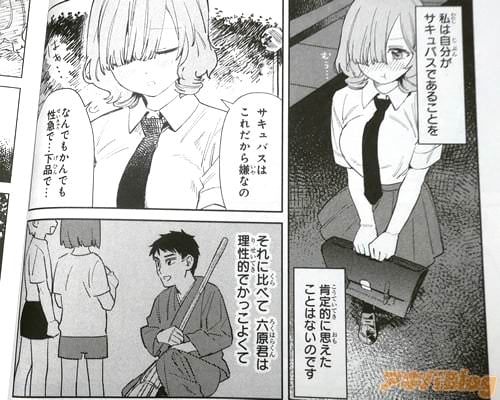 「(私は自分がサキュバスであることを、肯定的に思えたことはないのです)」