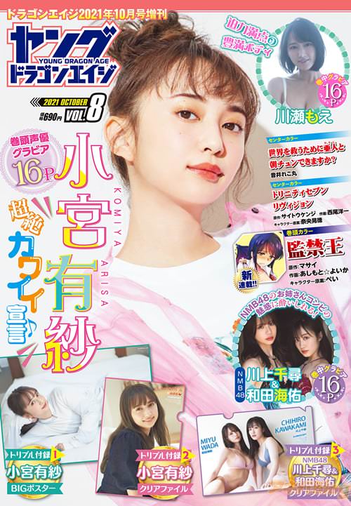 「ヤングドラゴンエイジ」VOL.8の書影