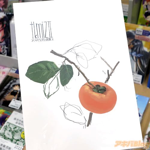 サークル月水技研の同人誌「tkmizII つくみずらくがき画集2」