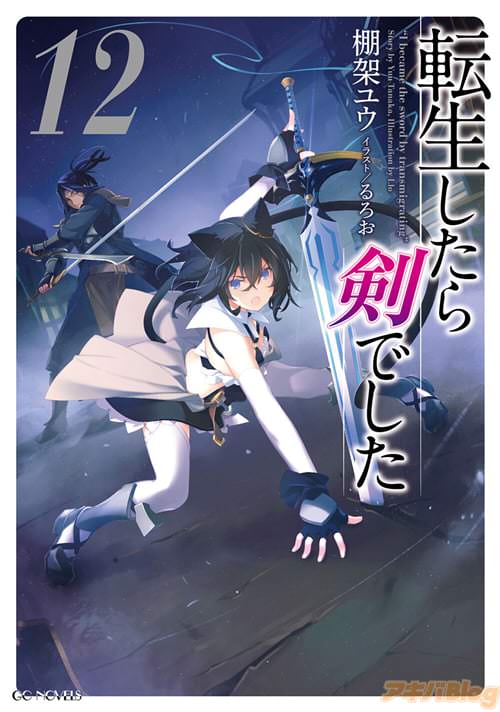 小説:棚架ユウとイラスト:るろおの「転生したら剣でした12」