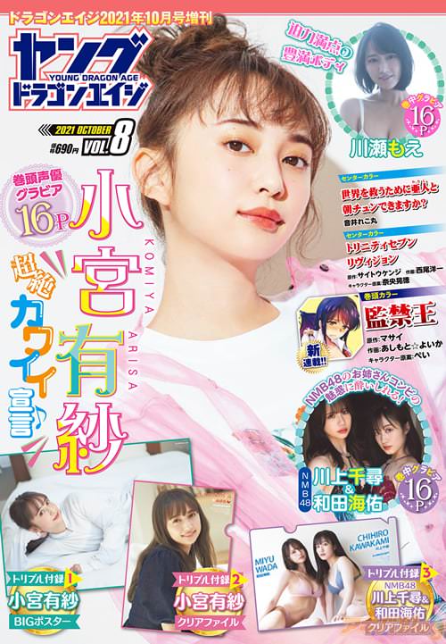 「ヤングドラゴンエイジ」VOL.8の書影