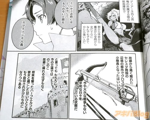 「(今や大きな戦争もない平和な日々を過ごしている状態だ)」