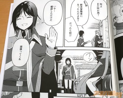 「新米冒険者になったんだよな?」 「だったら何!?」