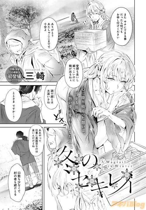 三崎「冬のセキレイ」