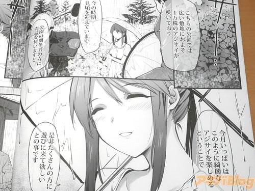 「たくさんの方に遊びに来て欲しいとの事です」