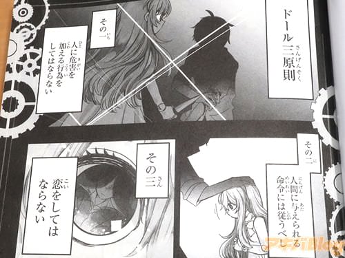 〈ドール三原則〉