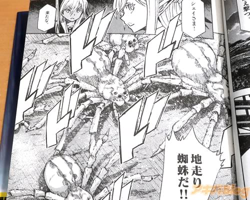 「地走り蜘蛛だ!」
