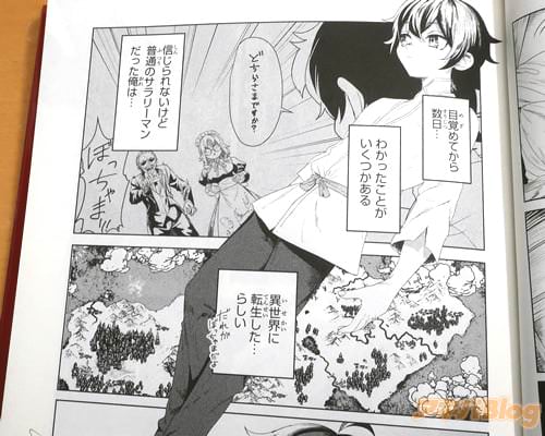 「(信じられないけど普通のサラリーマンだった俺は…異世界に転生した…らしい)」