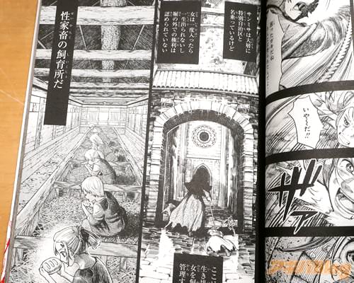 血を這う亡国の王女1巻 「娼婦となった王女による凄惨で美しき復讐譚」 : アキバBlog