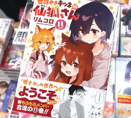 リムコロの漫画「世話やきキツネの仙狐さん」11巻