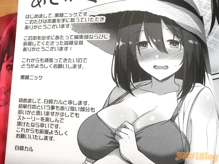 母娘丼 画像]:「孕ませ！幸せ母娘丼！」の後書き