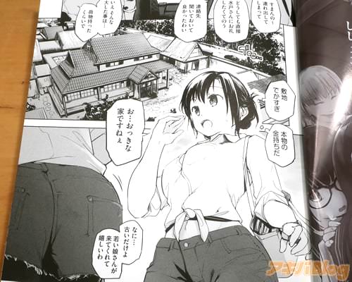 �֤��Ĥ��ä��ʲȤǤ��ͤ���