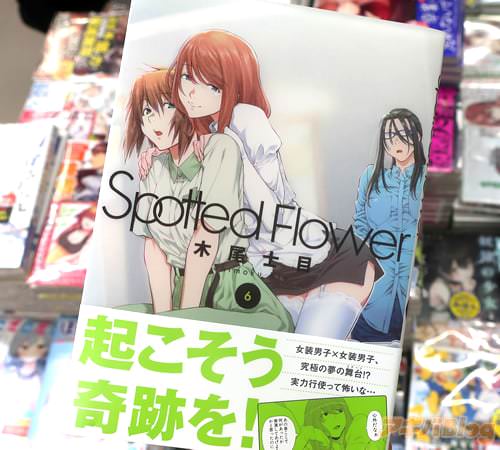 木尾士目 Spotted Flower6巻 「女装男子×女装男子、究極の夢のステージ！？」 : アキバBlog