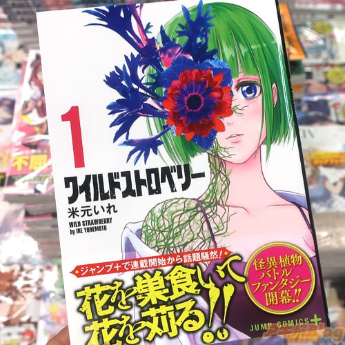 �Ƹ������̡��֥磻��ɥ��ȥ��٥꡼��1��