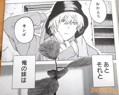 �֡ʲ�����ϡˡ�