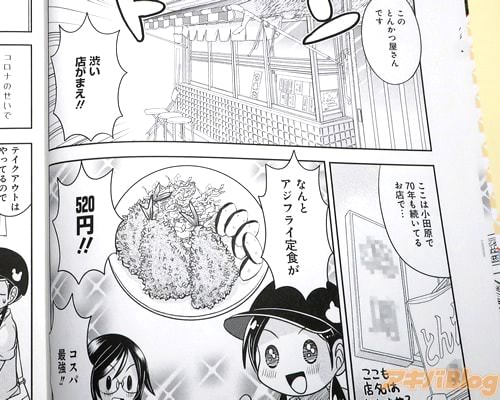 �֥����ե饤�꿩��520�ߡ���