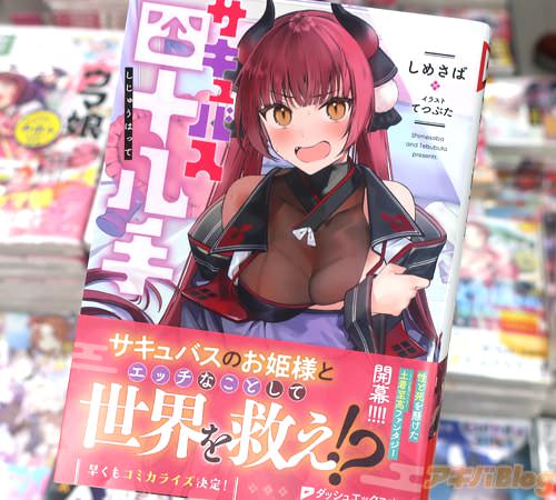 ダッシュエックス文庫「サキュバス四十八手」