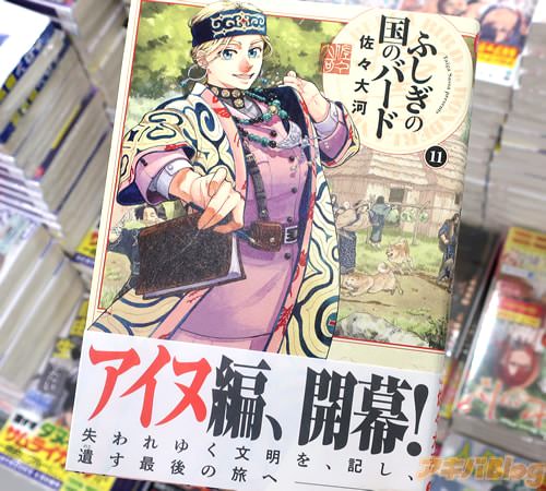 佐々大河の漫画「ふしぎの国のバード」11巻