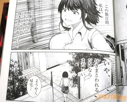 「正体不明のストーカーに付きまとわれている」