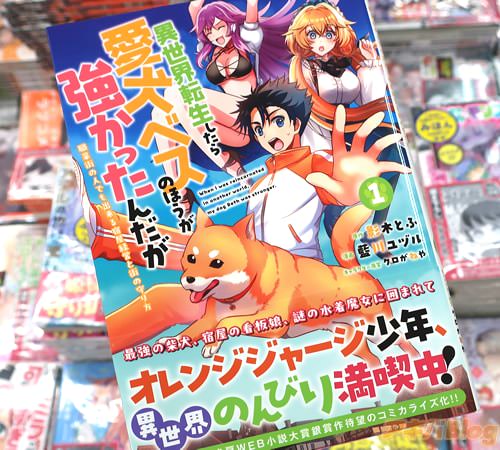 �����ť뤬���ߥ��饤���ְ�����ž�������鰦���٥��Τۤ��������ä������ �����ȳ��οͤǤ�����ɲ��бĤȳ��μ��������1��