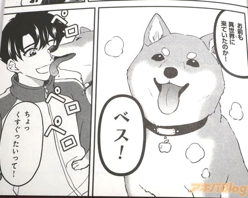 �֤��������������Ƥ����Τ�����